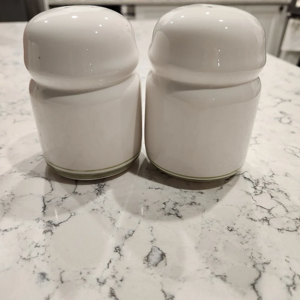 Gibson Palm Court Handpainted Salt and Pepper Shakers Made in USA